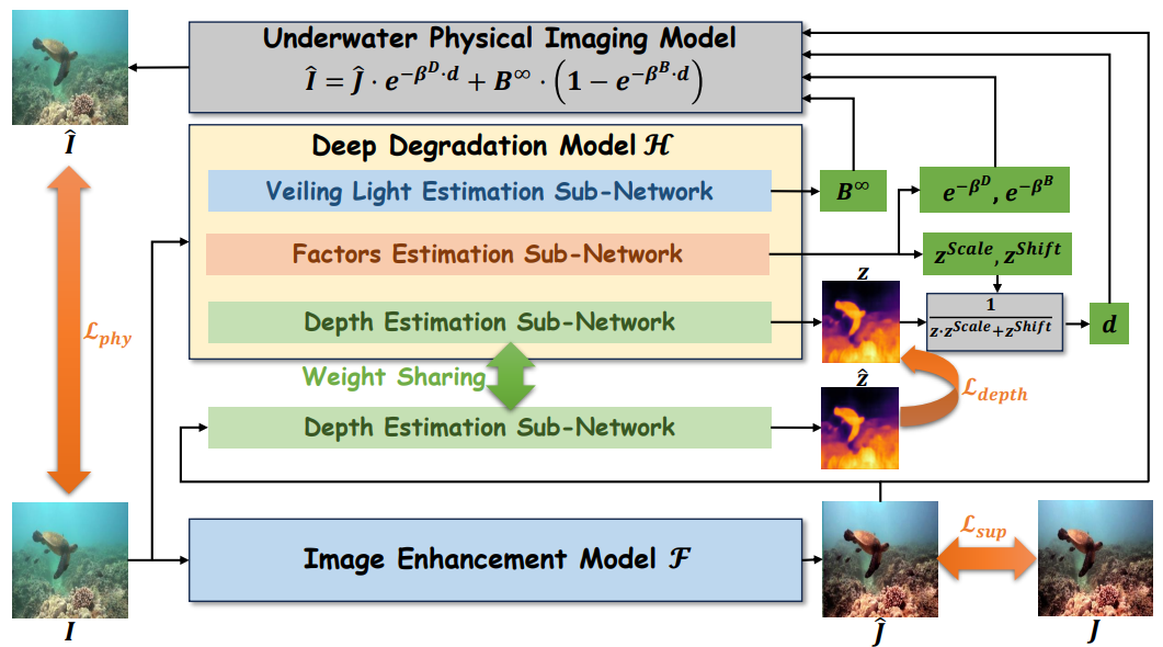 A physical model-guided framework for underwater image enhancement and depth estimation