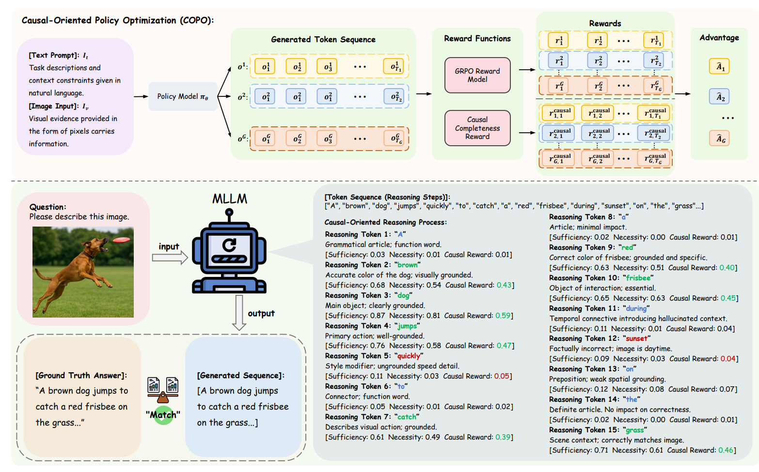 COPO: Causal-Oriented Policy Optimization for Hallucinations of MLLMs